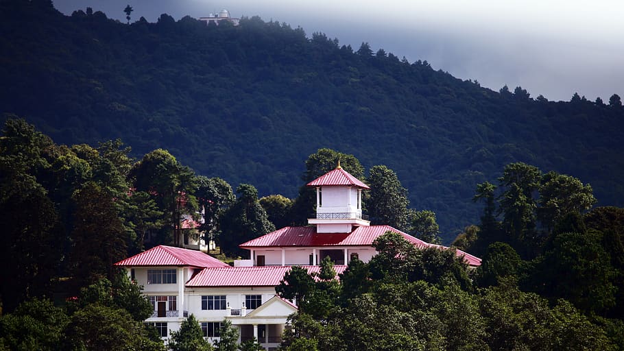 nepal, dhading, tree, architecture, plant, building exterior HD wallpaper