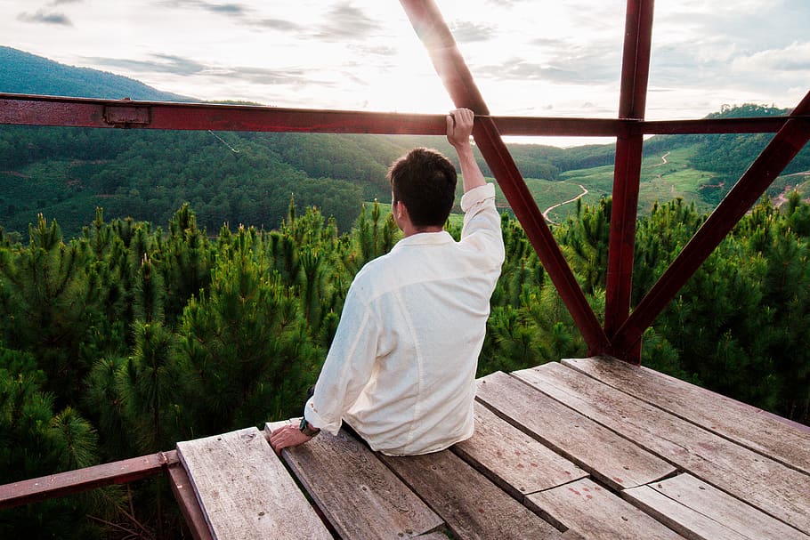 Man Sitting on Wooden Surface Looking at Trees, forest, landscape HD wallpaper