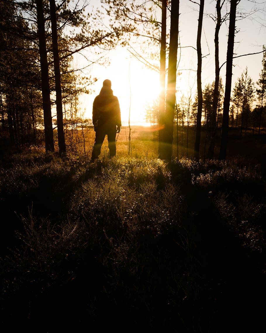 man standing during golden hour, light, flare, sunlight, human HD wallpaper