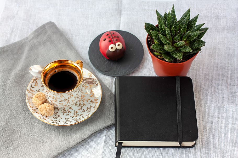 black coffee, succulent, notebook, sugar, cake, succulents HD wallpaper