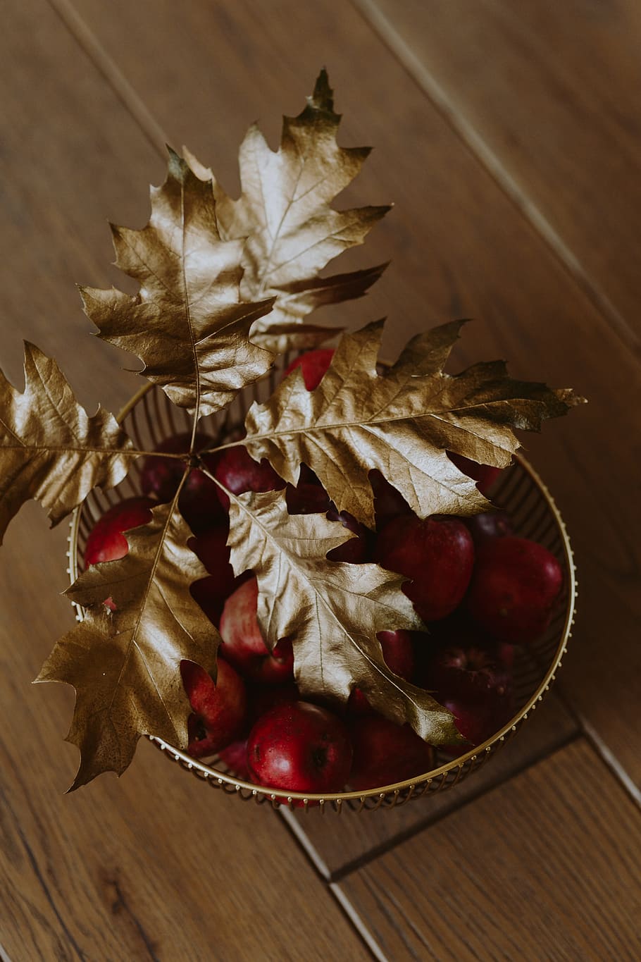 Red apples and golden oak leaves, gold leaves, golden leaves HD wallpaper