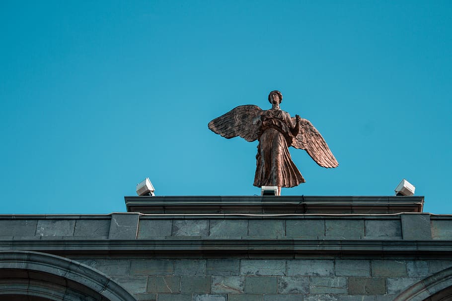 statue, sculpture, art, bird, animal, monument, angel, archangel HD wallpaper