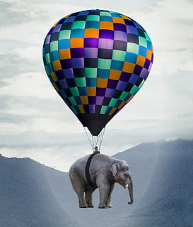 elephant, balloon, flying, weightless, hot air balloon ride HD wallpaper