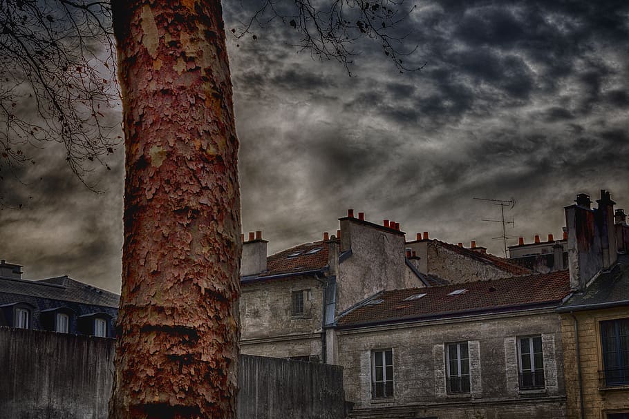 town, province, garden, vegetation, antiques, past, old town HD wallpaper