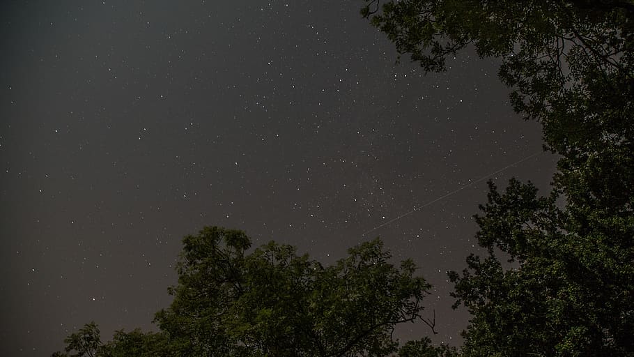 netherlands, 's-gravenpolder, tree, night, star - space, plant HD wallpaper