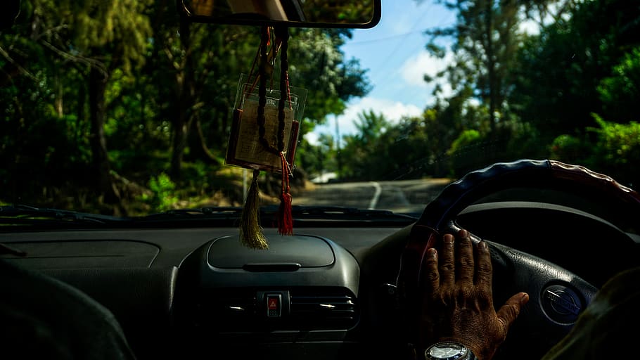 mauritius, drive, trees, 2017, roadtrip, nature, island, mode of transportation HD wallpaper
