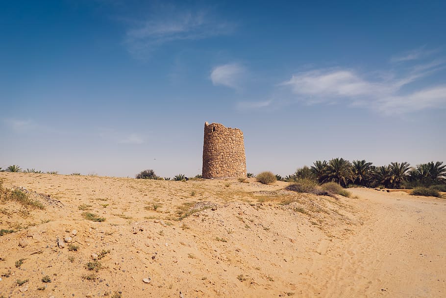 desert, oasis, palms, tower, uae, sand, dunes, green, blue HD wallpaper