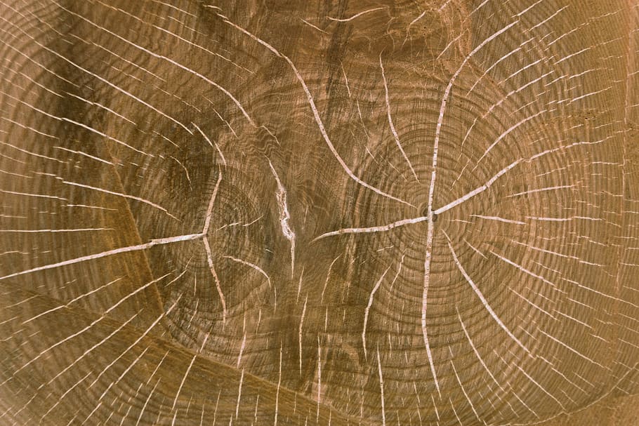 wood, wood board, table top, oak, nuclear, wood core, background, HD wallpaper