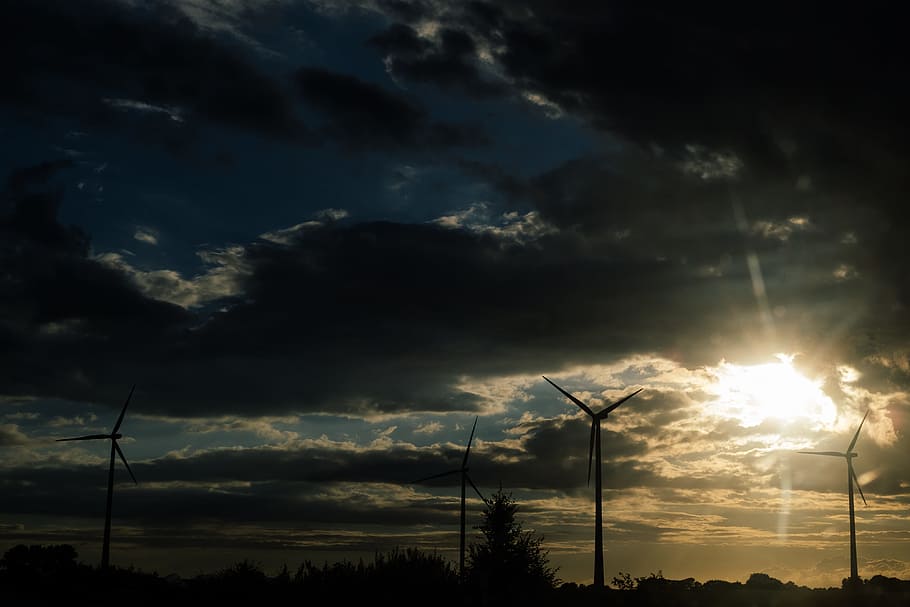 Wind turbines at sunset, alternative, background, clean, development HD wallpaper