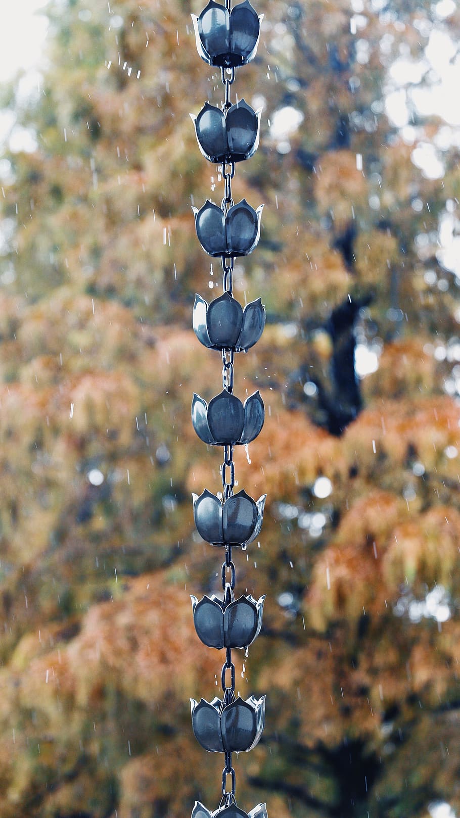 no people, focus on foreground, day, close-up, hanging, metal HD wallpaper