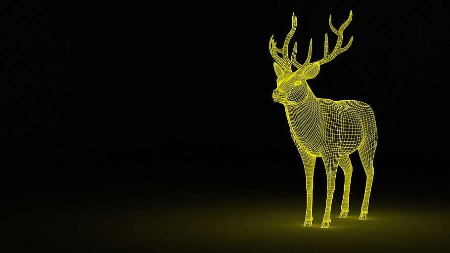 deer, 3d, wireframe, graphic, graphical, drawing, represent, HD wallpaper