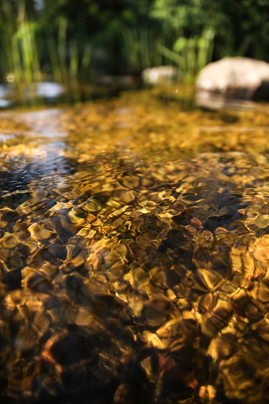 water, reflection, ripple, lake, pond, h2o, nature, selective focus HD wallpaper