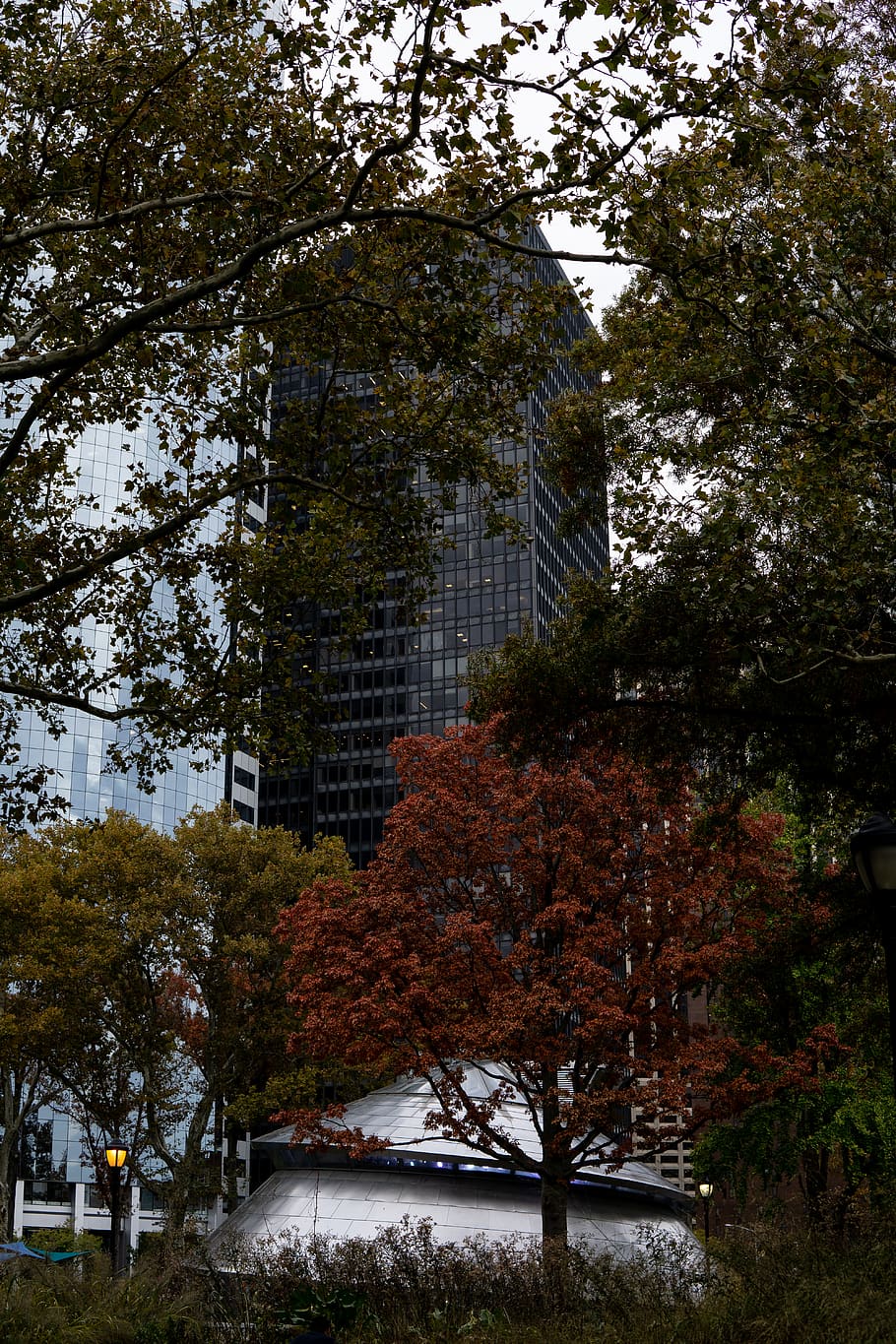 high rise building surrounded by trees, plant, office building HD wallpaper