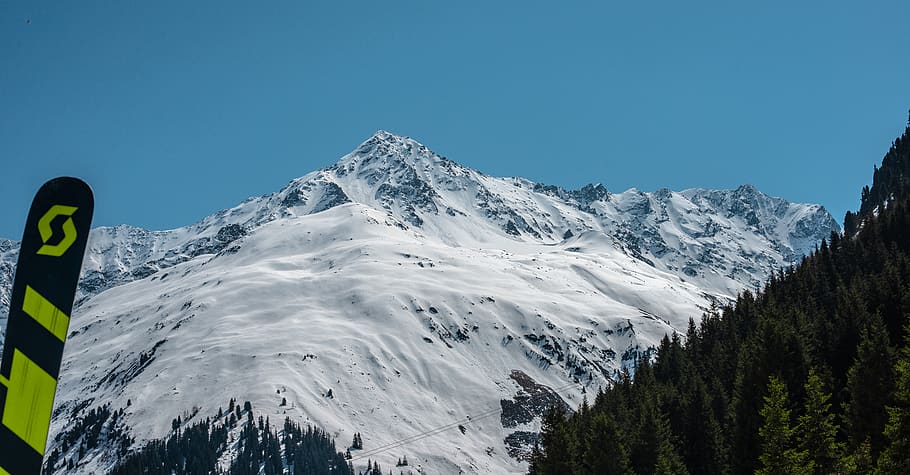 austria, mittelberg, pitztaler gletscher, ski, tree, sky, forest, HD wallpaper