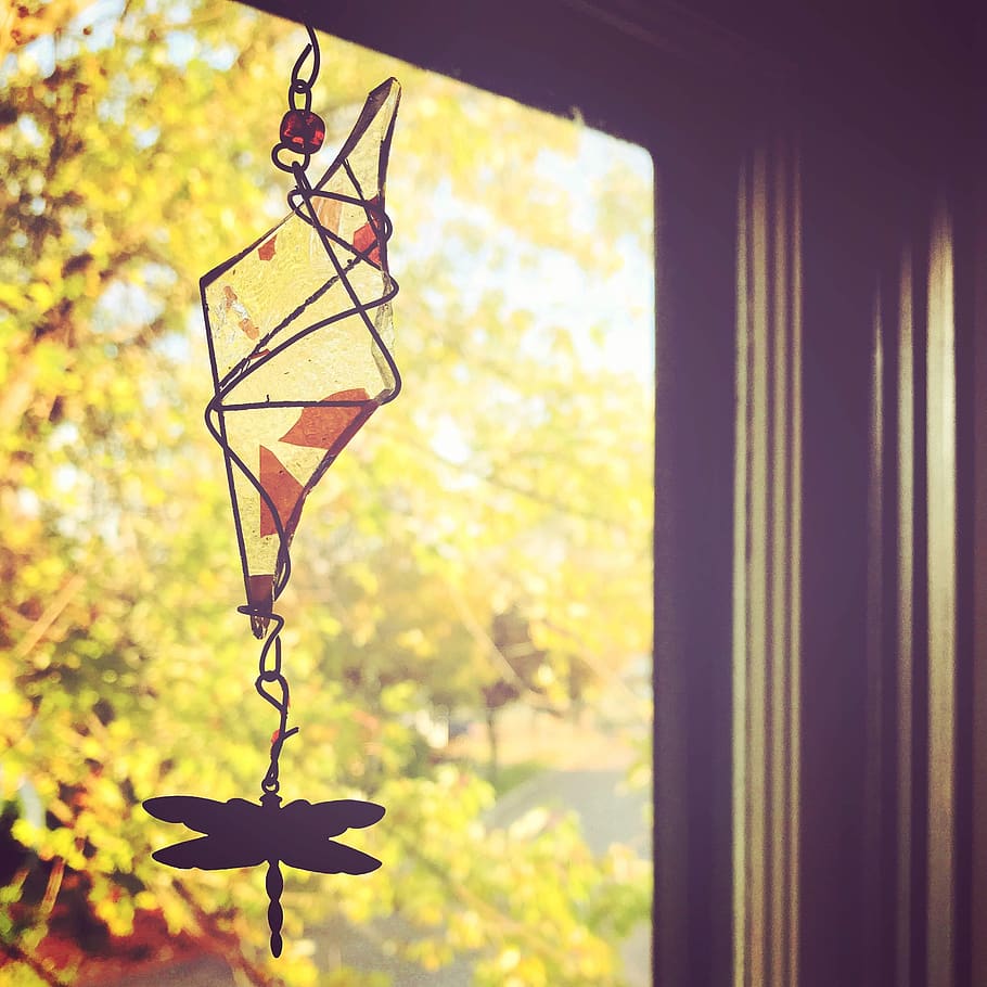 window, autumn, fall, dragonfly, sunshine, autumn leaves, glass HD wallpaper