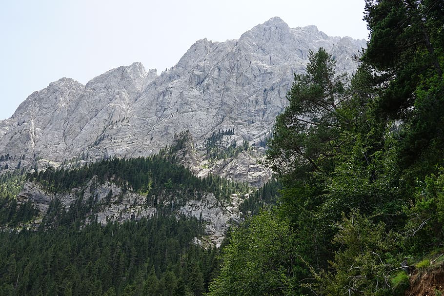 mountain, environment, natural, tree, plant, beauty in nature HD wallpaper
