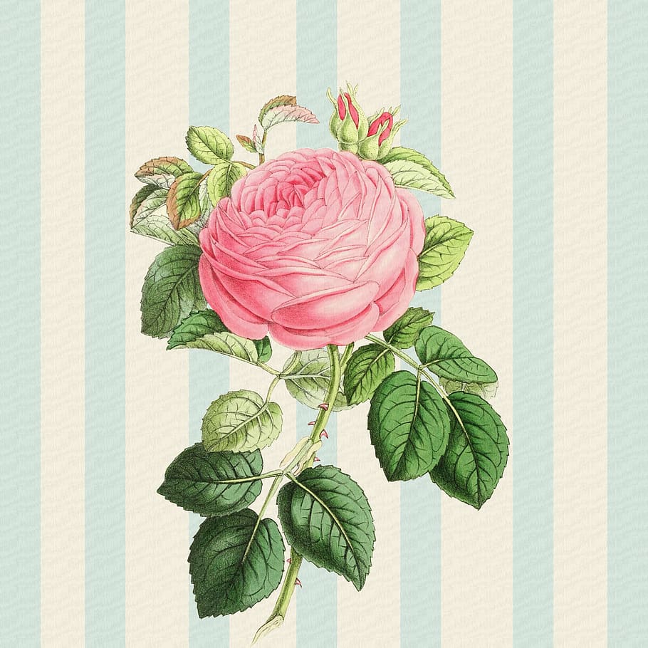 Vintage Shabby Chic Wallpaper Floral Victorian Stock Photo 274709798   Shutterstock