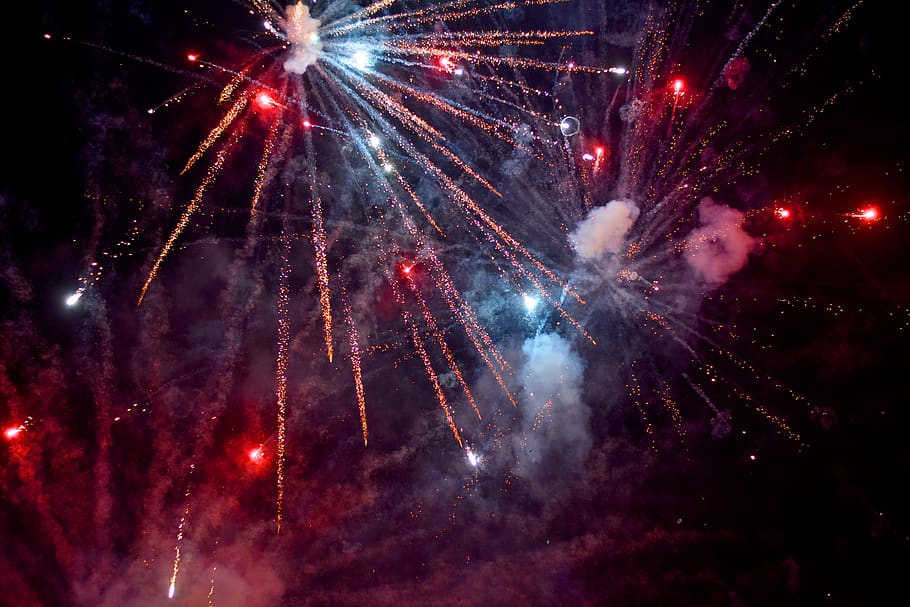 assorted-color fireworks at night, nature, outdoors, invertebrate HD wallpaper