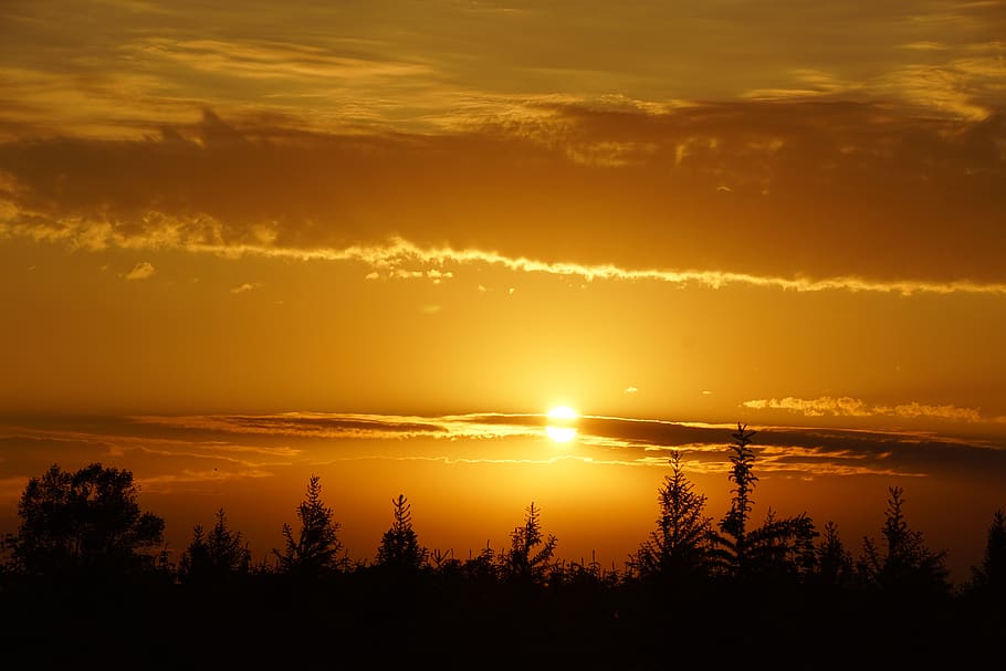 sunset, odense, denmark, sunny, natural, sol, sky, cloud, trees HD wallpaper