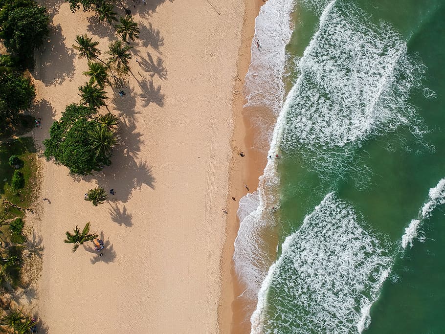 aerial photography of seashore near trees, drone view, beach, HD wallpaper