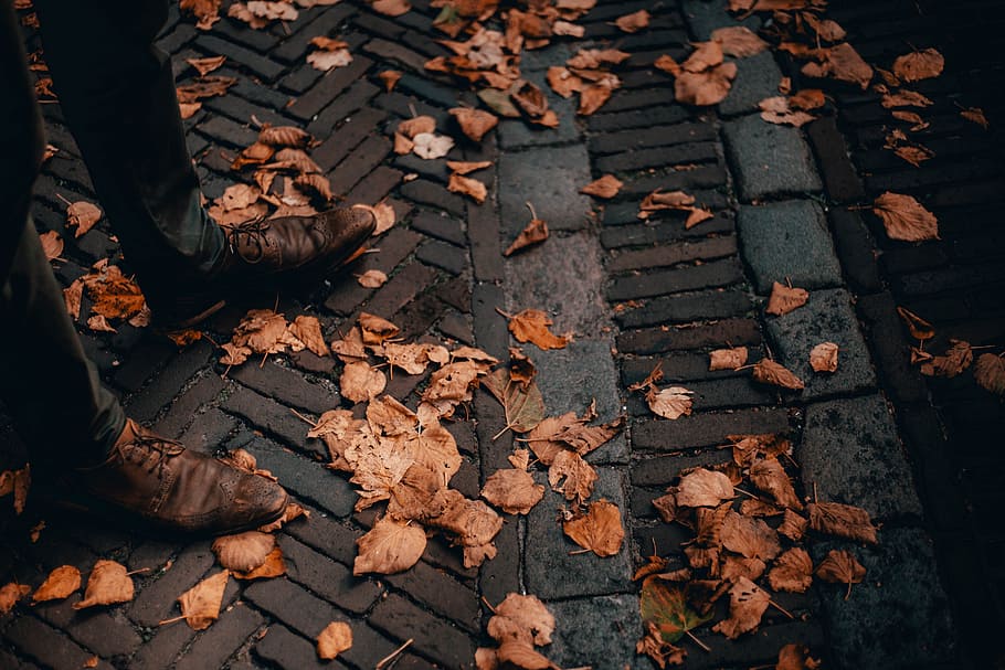 brown leaves, autumn, fall, orange, shoe, stone, looking down HD wallpaper