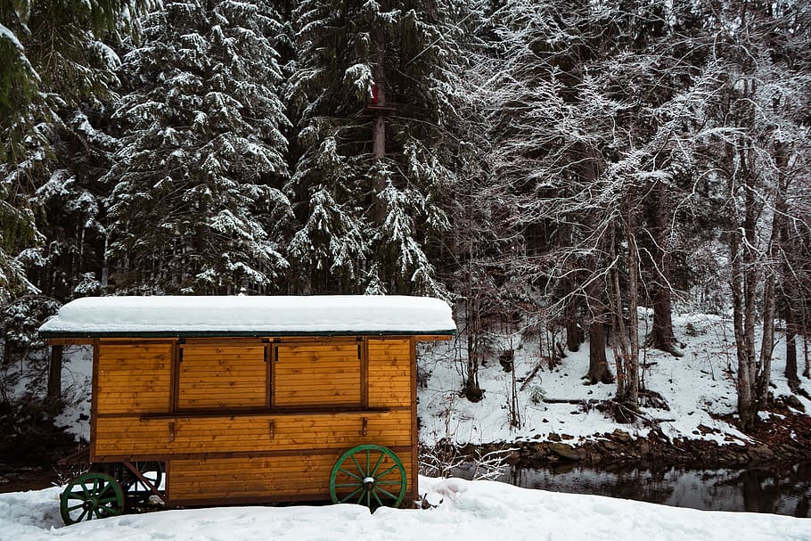 Photo of Wooden Shed Covered by Snow, branches, cold, ze, zing HD wallpaper