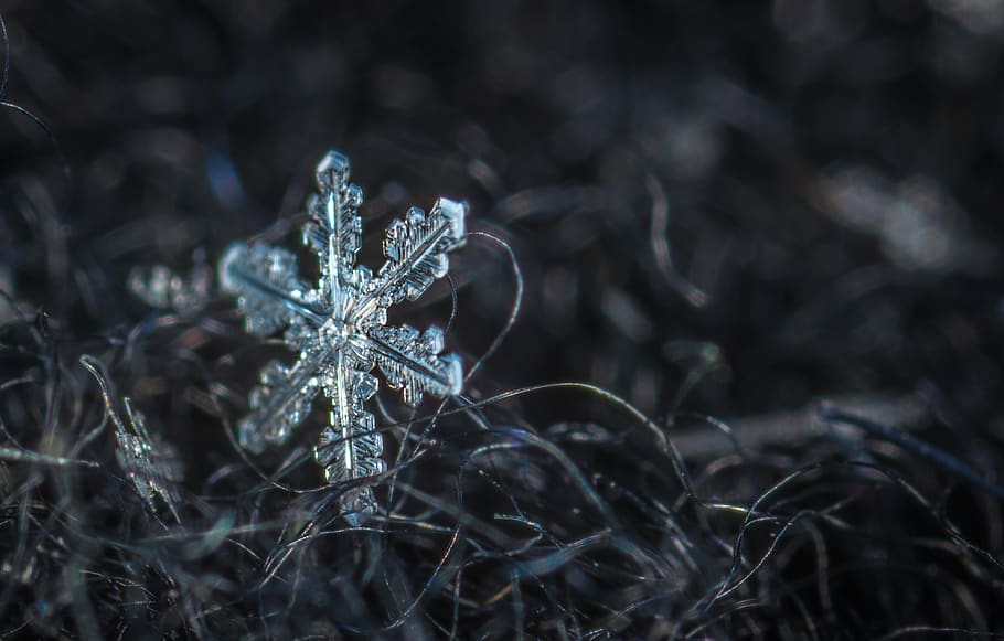 snowflake, macro, wool, winter, cold temperature, land, nature HD wallpaper