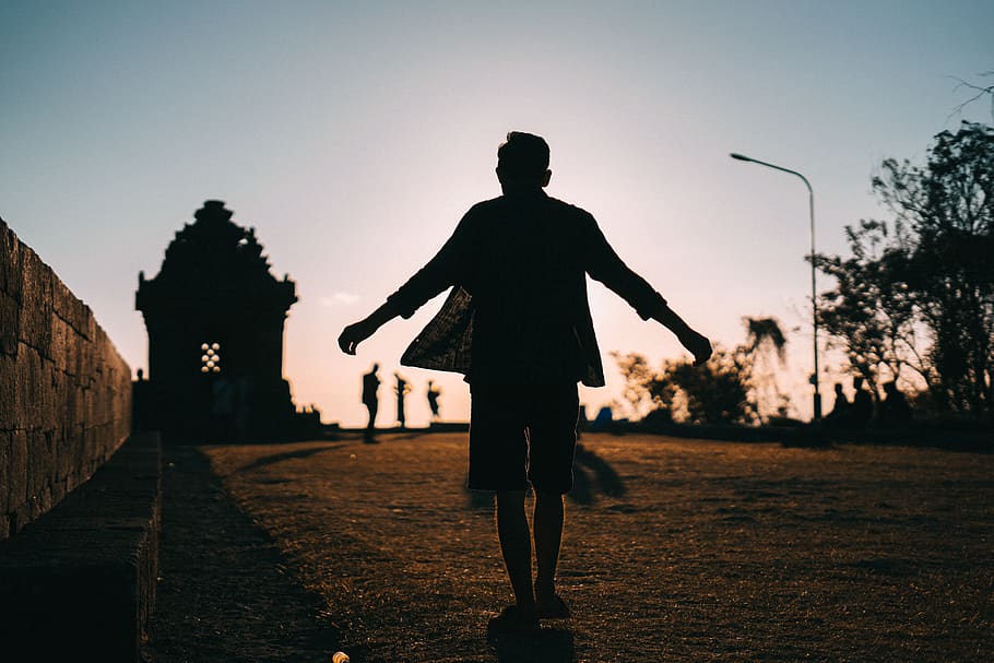 Silhouette of a Person During Dawn, backlit, dark, idyllic, man HD wallpaper
