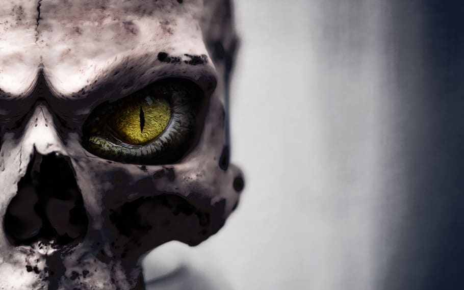 skull, skull and crossbones, eye, skeleton, death, face, mask HD wallpaper
