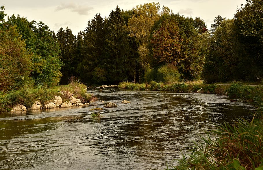 river, bach, water, landscape, nature, forest, creek, scenic HD wallpaper