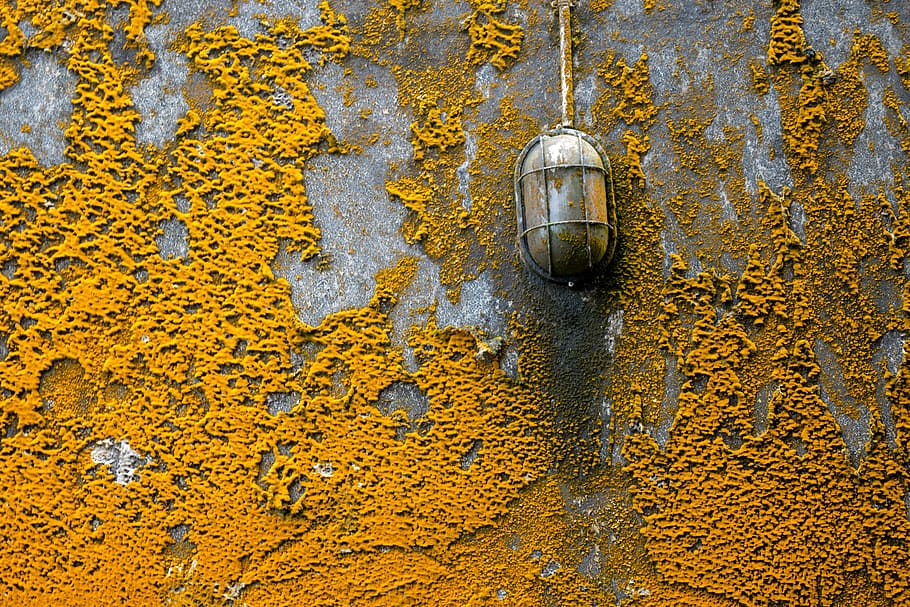 Concrete Pavement With Orange Molds, concrete structure, dirty HD wallpaper