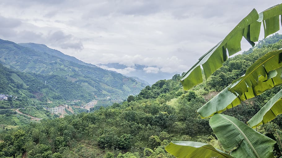 cloud - sky, mountain, plant, architecture, tree, green color HD wallpaper