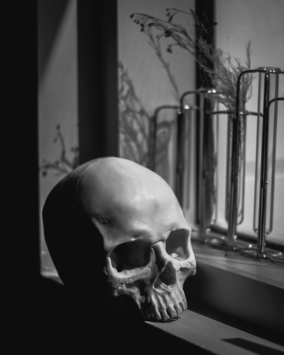 bone, human skeleton, no people, indoors, close-up, sadness HD wallpaper