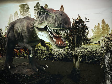 trex, dinosaurs, t-rex, grass, stand, still, life, animals HD wallpaper