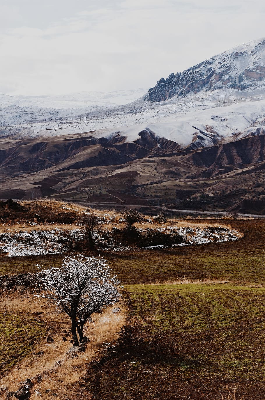 Snow Covered Mountain, beautiful, daylight, environment, field HD wallpaper