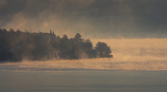 fog, cold, lake, forest, nature, trees, landscape, mood, mystical HD wallpaper