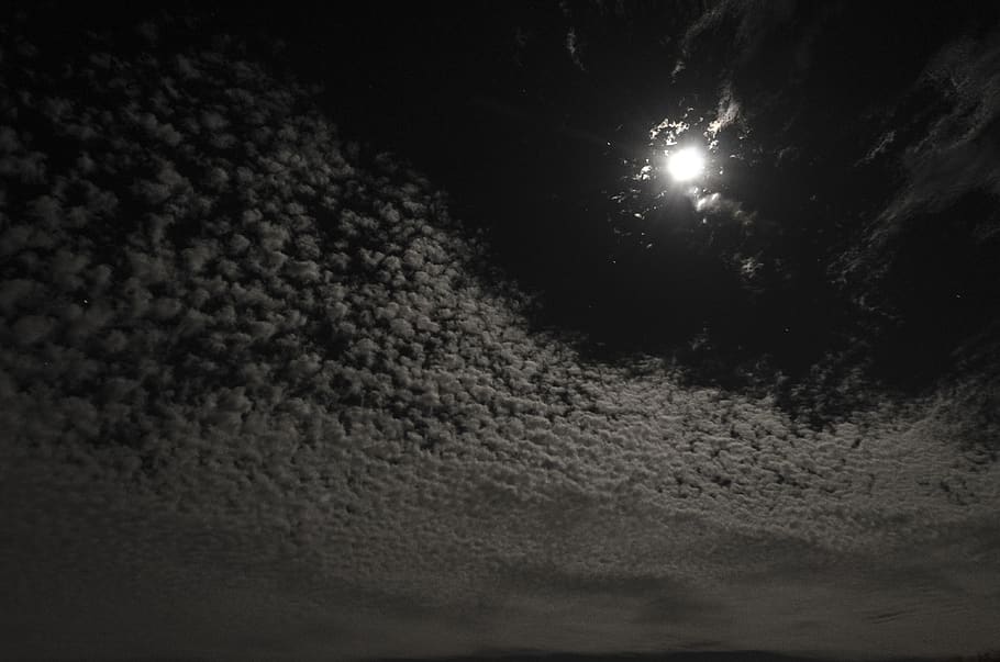 moon, cloud, light, night sky, dark, dawn, space, astronomy HD wallpaper
