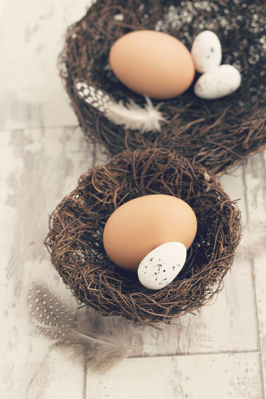 food, farm, feathers, easter, nest, eggs, still life, indoors HD wallpaper