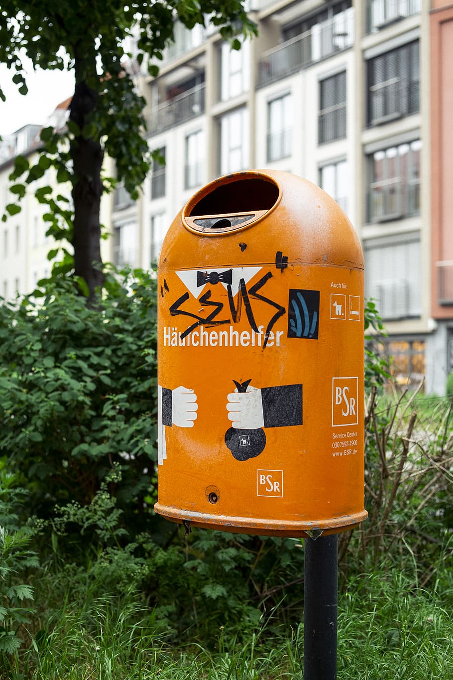 orange mail box, communication, text, plant, tree, focus on foreground HD wallpaper