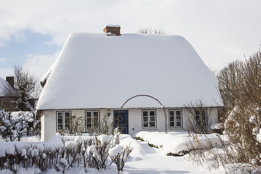 winter, snow, cold, frozen, cold temperature, building exterior HD wallpaper