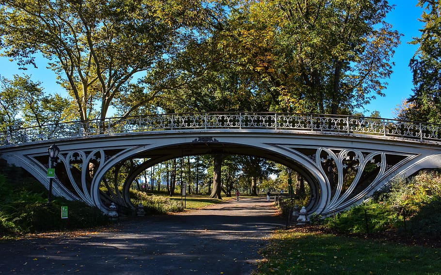bridge, path, trees, scenic, park, pedestrians, promenade, central park HD wallpaper