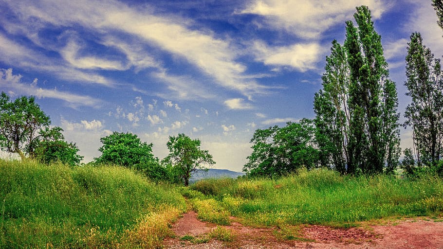nature, landscapes, clouds, sky, green, blue, trees, grass HD wallpaper