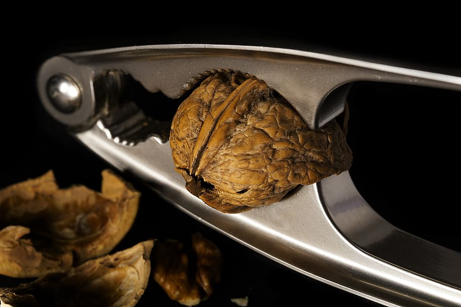 food, walnut, tree nut, eat, nuts, healthy, nutrition, cracked HD wallpaper