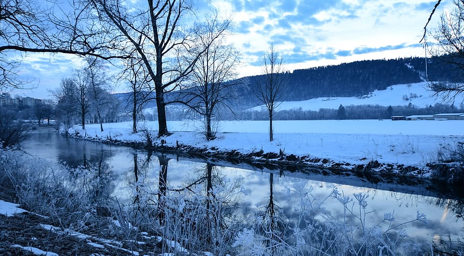 river, trees, water, reflection, winter, landscape, nature