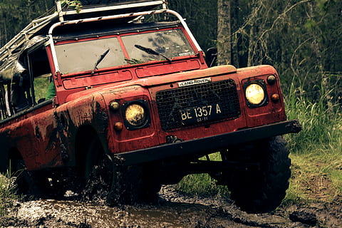 Red Car on Muddy Road Near Trees, 4wd, 4wheels, 4x4, action, adventure HD wallpaper