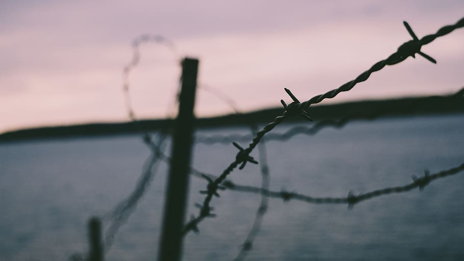 barb wires, security, sharp, fence, propery, safety, protection HD wallpaper