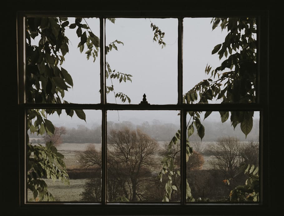 window overlooking green trees, home decor, countryside, skylight, HD wallpaper