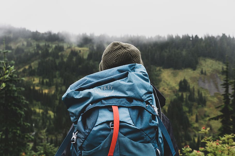 person wearing teal backpack looking at mountain, hiking, forest