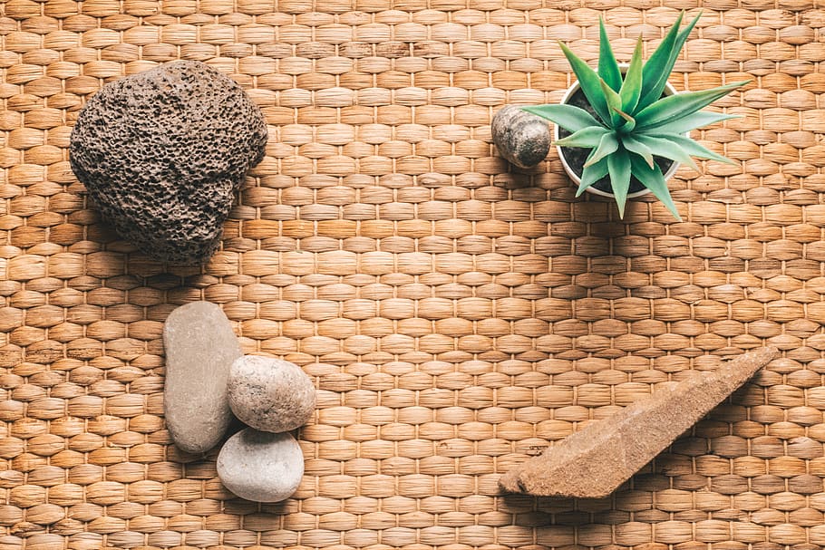 green aloe vera, brick, plant, rug, minimalist, flat lay, succulent HD wallpaper