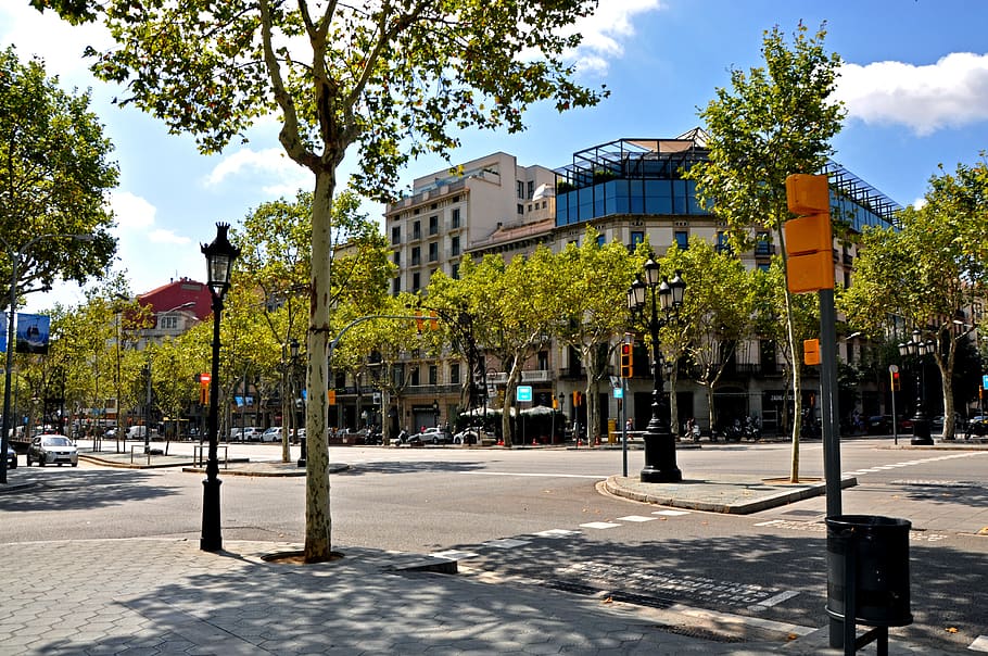 summer, barcelona, trees, junction, traffic lights, europe HD wallpaper